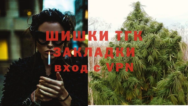 дживик Бородино