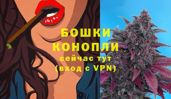дживик Бородино