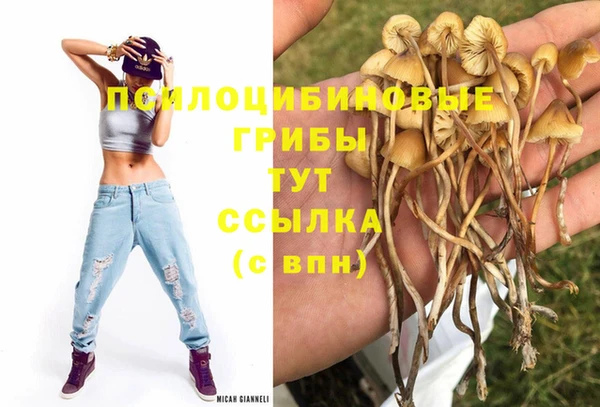 дживик Бородино