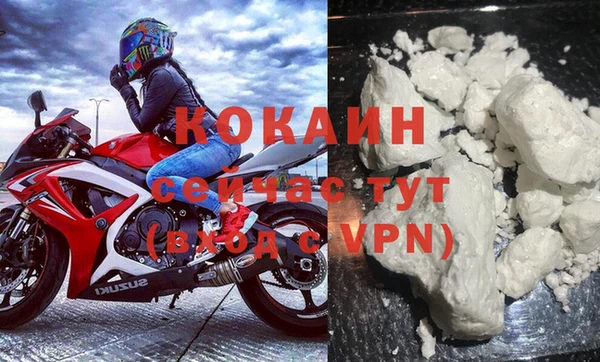 дживик Бородино