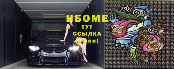 дживик Бородино