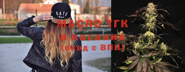 дживик Бородино
