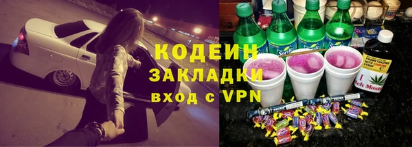 дживик Бородино