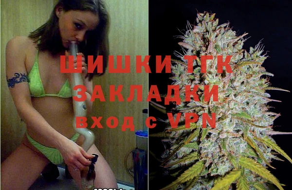 дживик Бородино