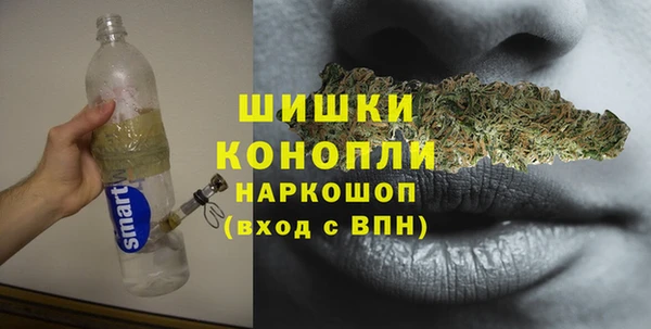 дживик Бородино