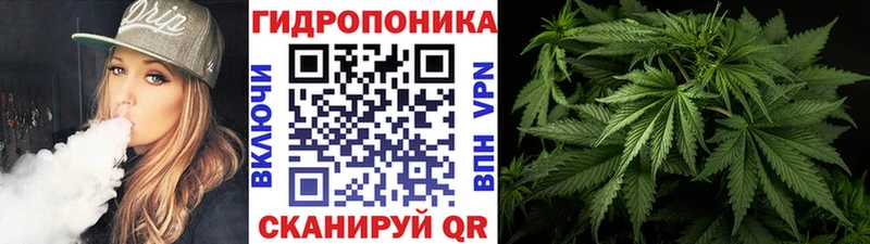 Шишки марихуана OG Kush  Купить где  Кяхта 
